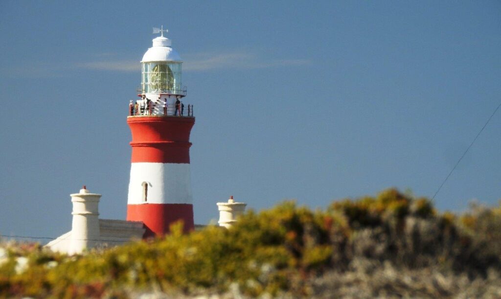 Historic Agulhas Lighthouse from 1889 rising behind sand dunes with coastal plants