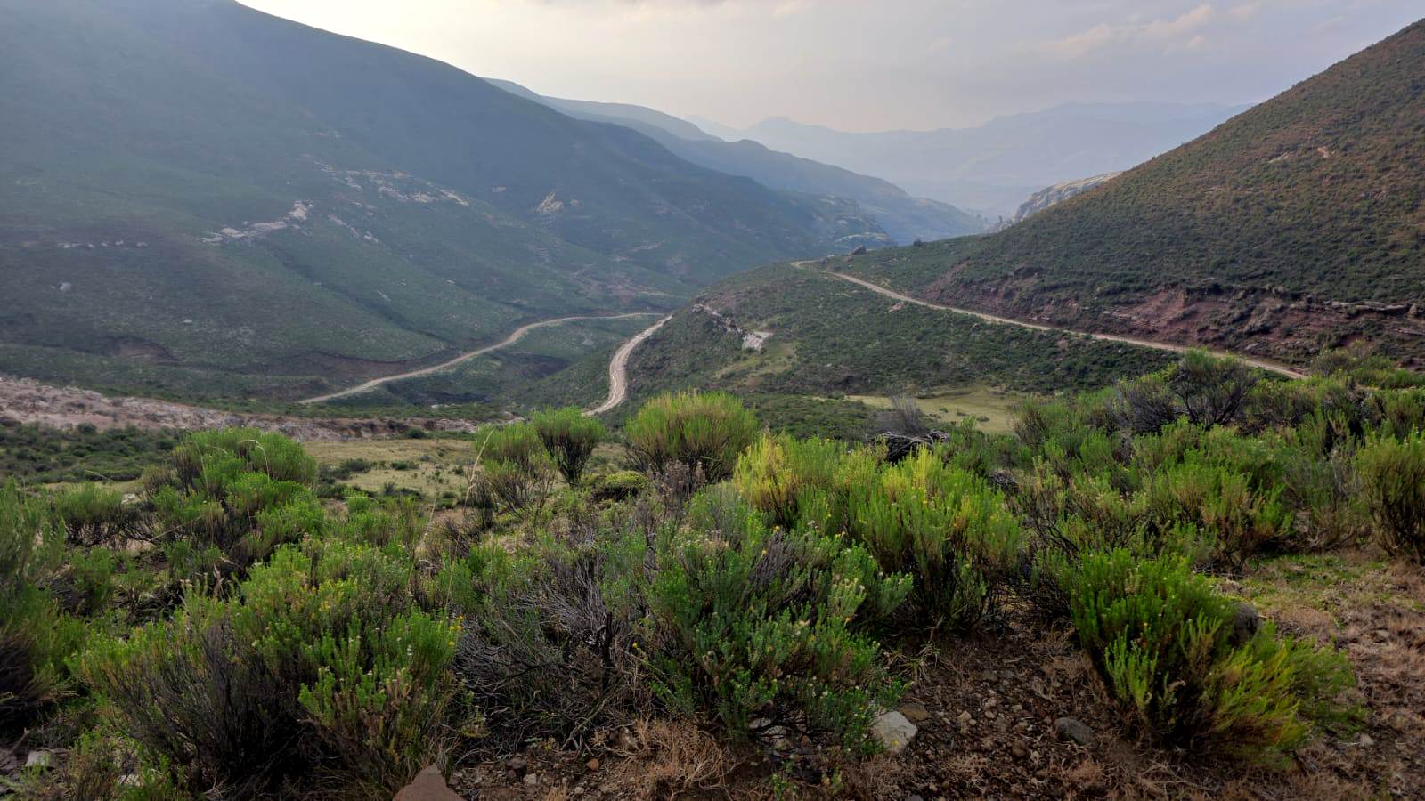 View looking north from Lundin's Nek, showcasing the remote mountain road and high-altitude landscapes traversed during the Highlands Birding Expedition.